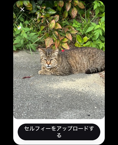 Reminiでイラストにする前