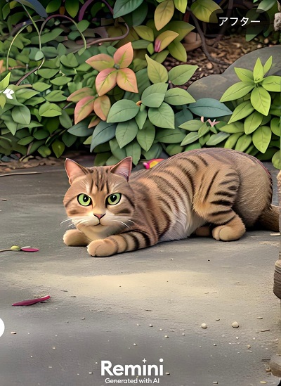 Reminiでイラストにした後