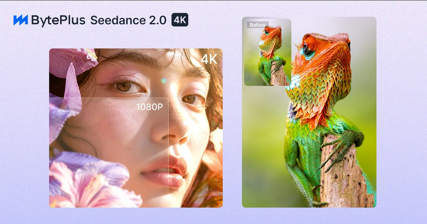 seedance2.0