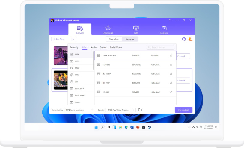 HitPaw Video Converter