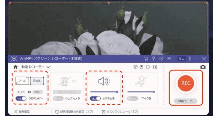 AnyMP4