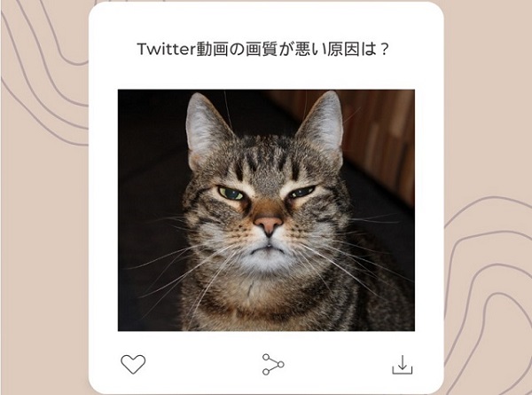 ツイッターに投稿した猫の動画のキャプチャー